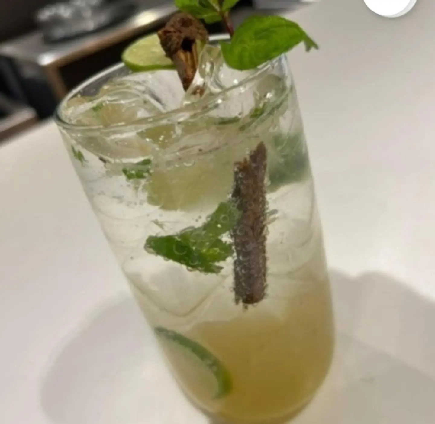 موهيتو مرامية