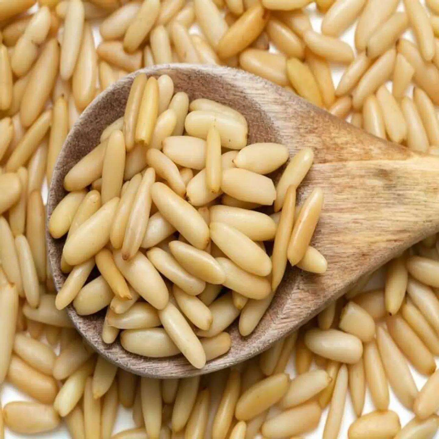 صنوبر 20 غرام