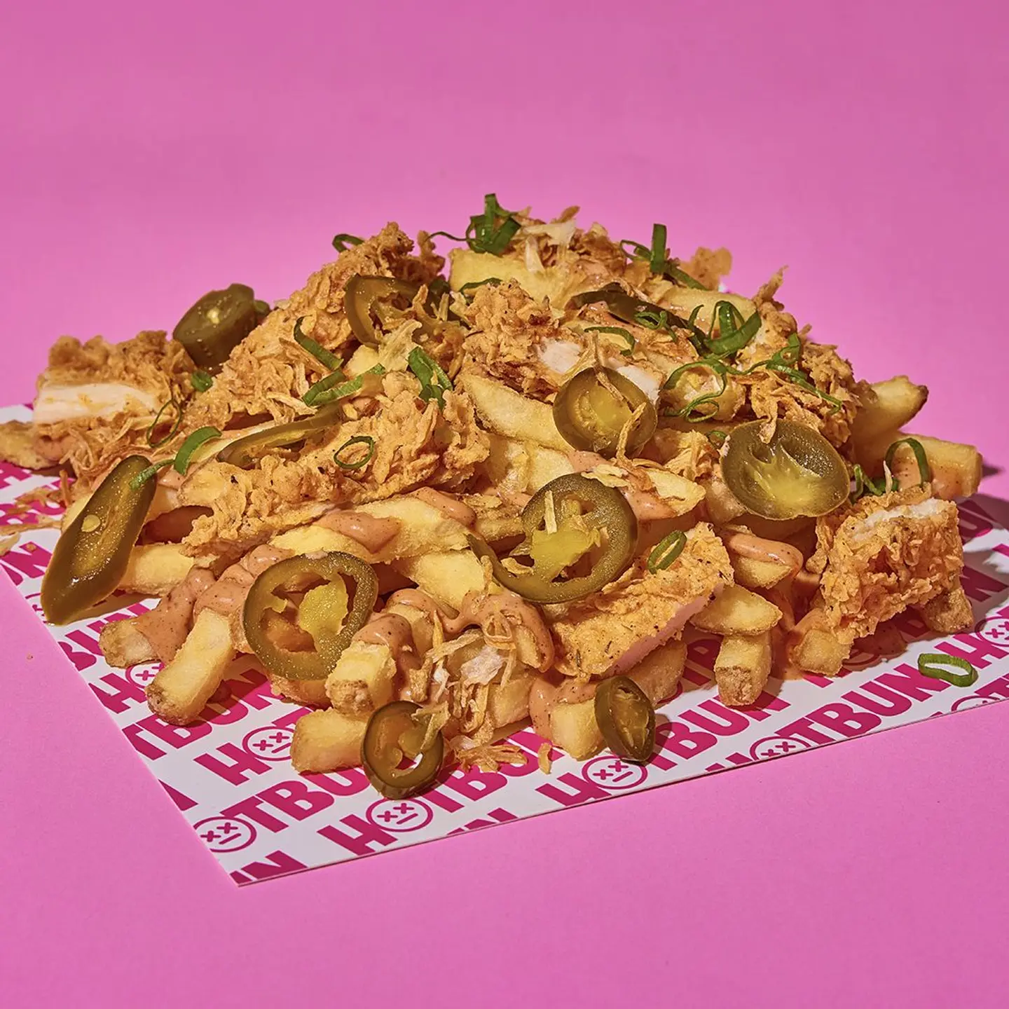 Chick'o Loaded Fries