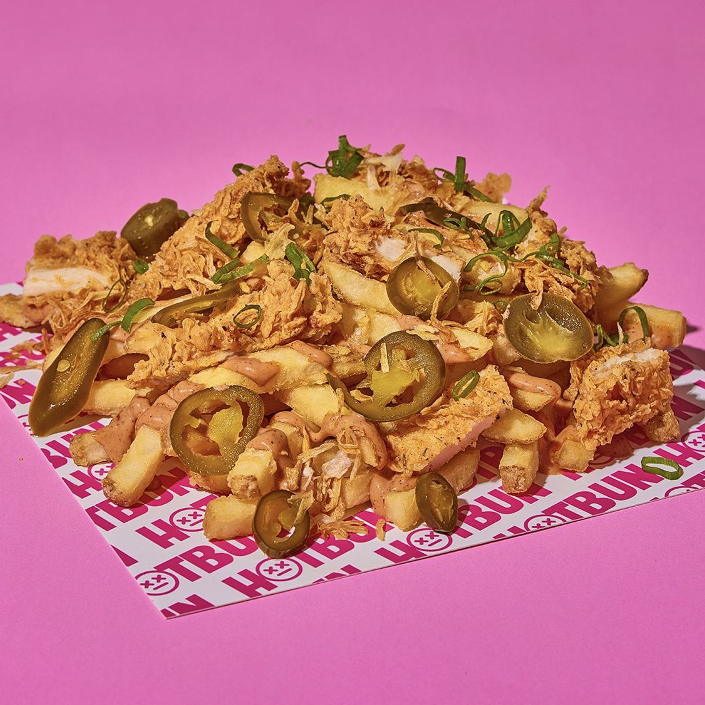 Chick'o Loaded Fries