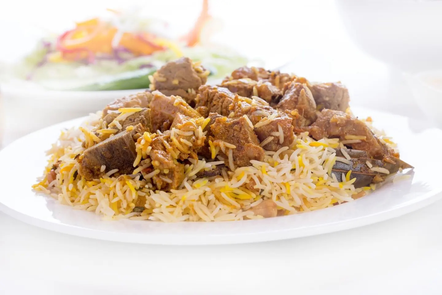 Biryani Hashi