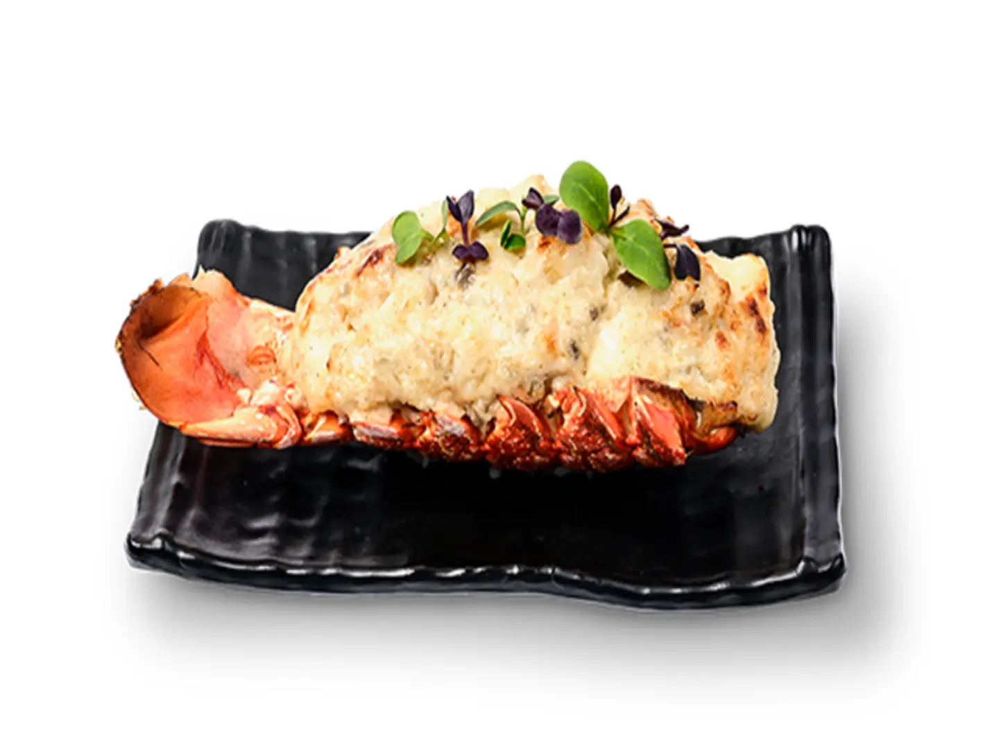 Lobster Tramador