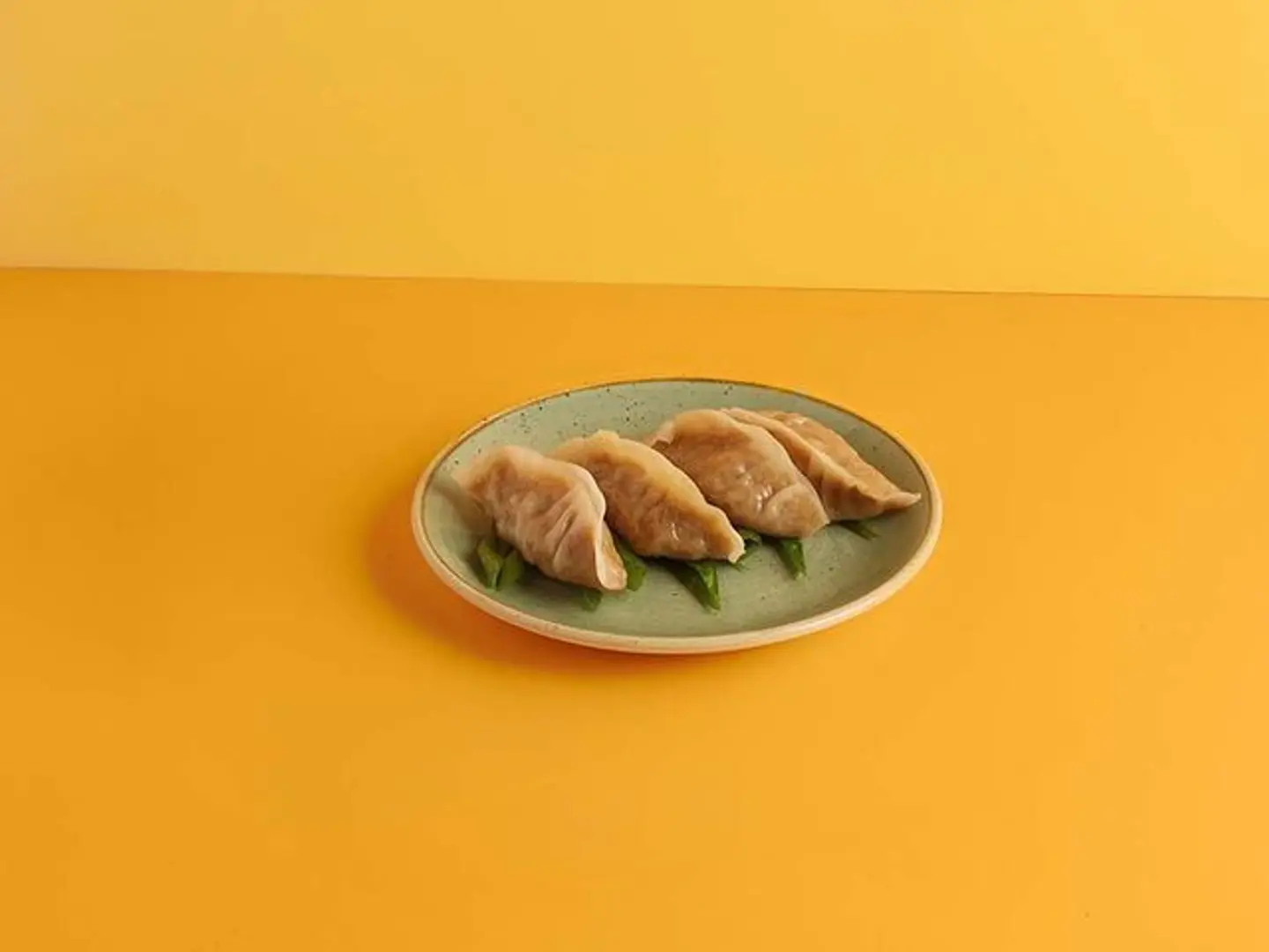 Chicken Dumplings