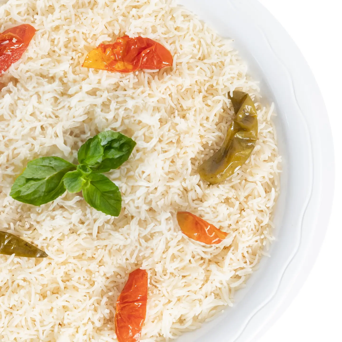 رز مندي ساده