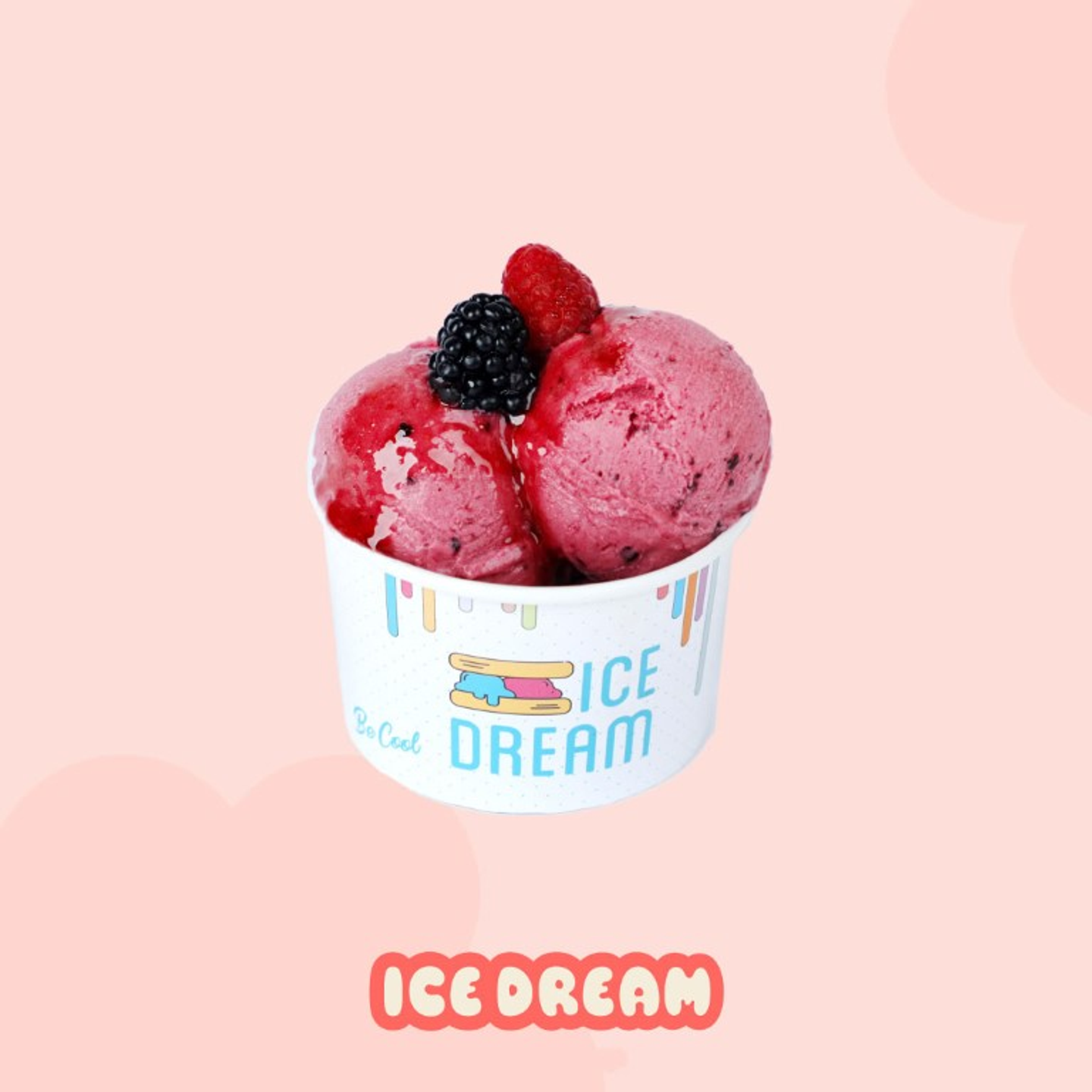 Mixed Ice Cream 250g