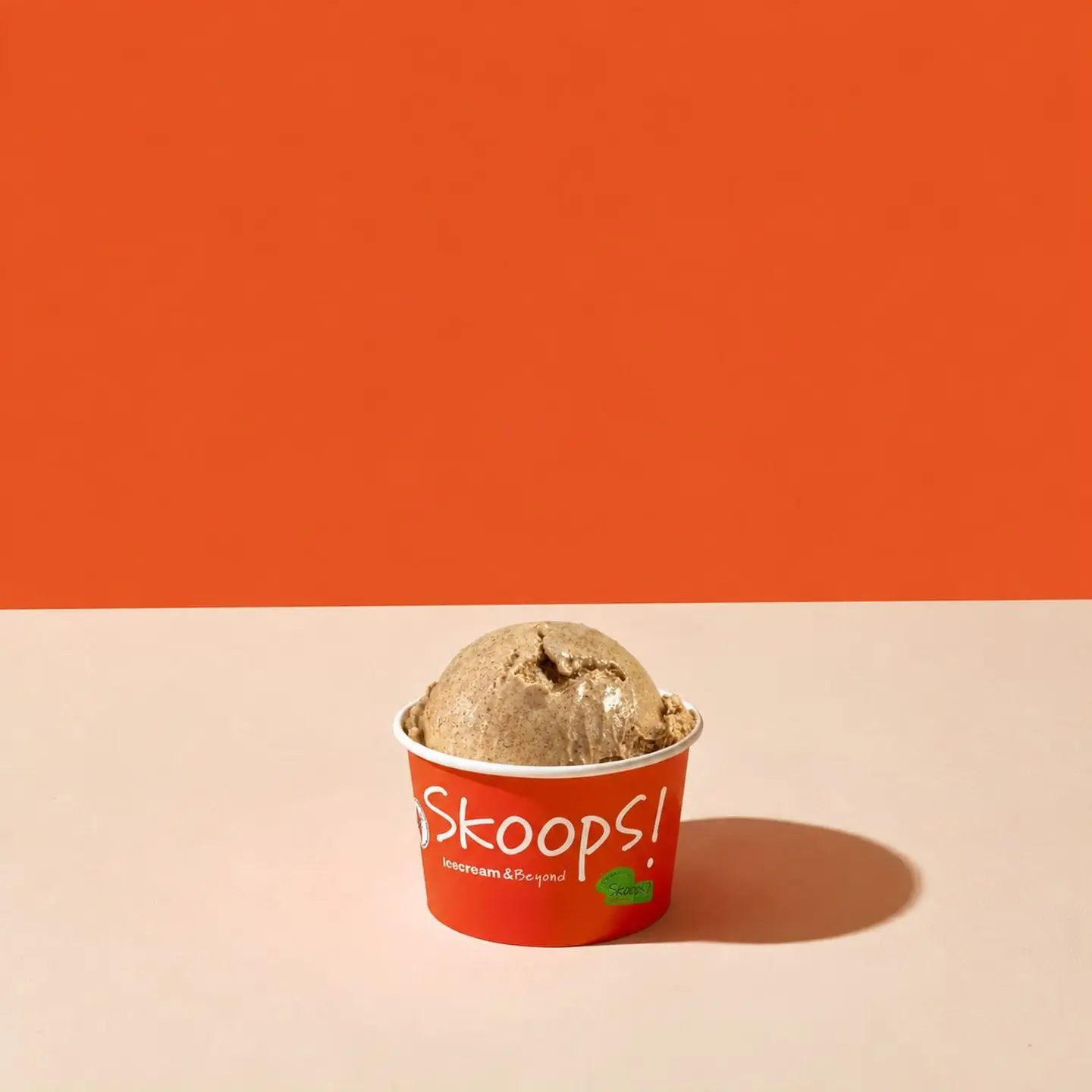 Toasted Milk Ice Cream