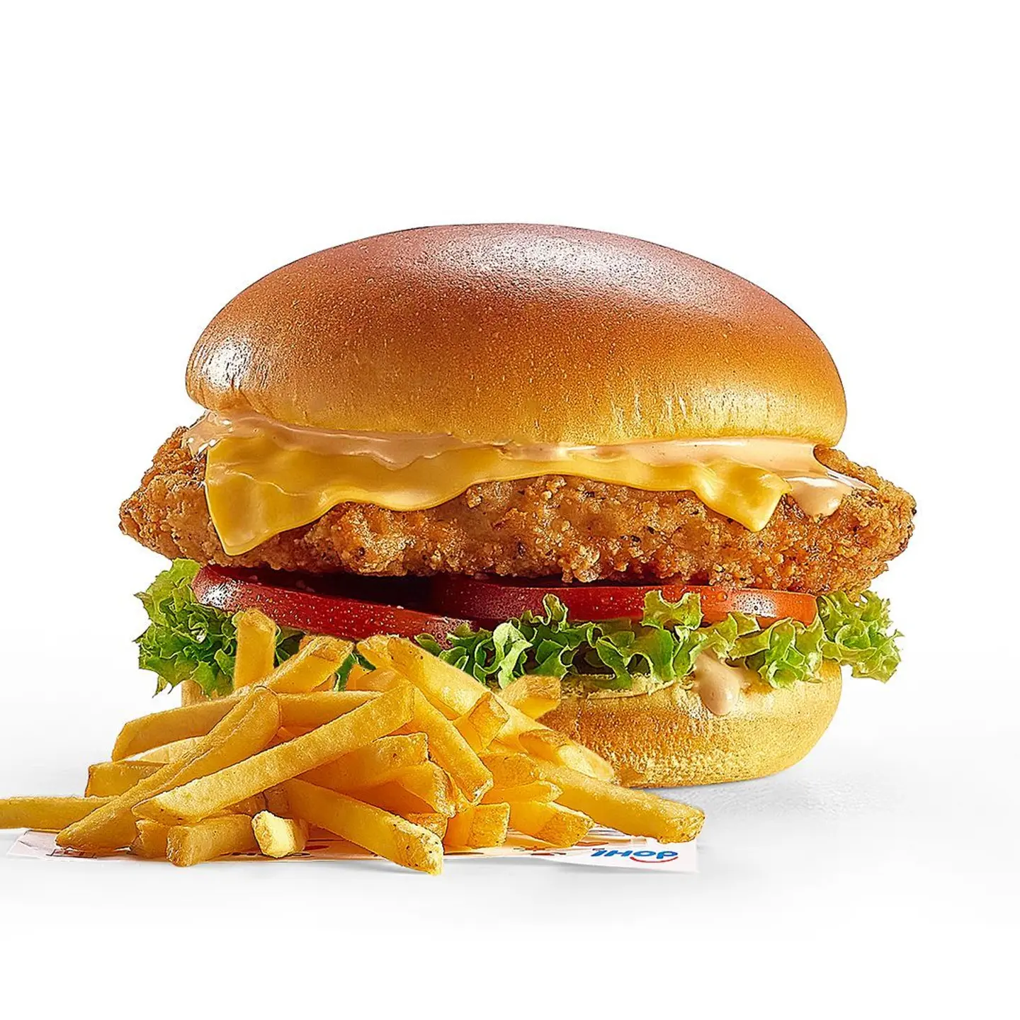 Southern Fried Chicken Burger With Fries