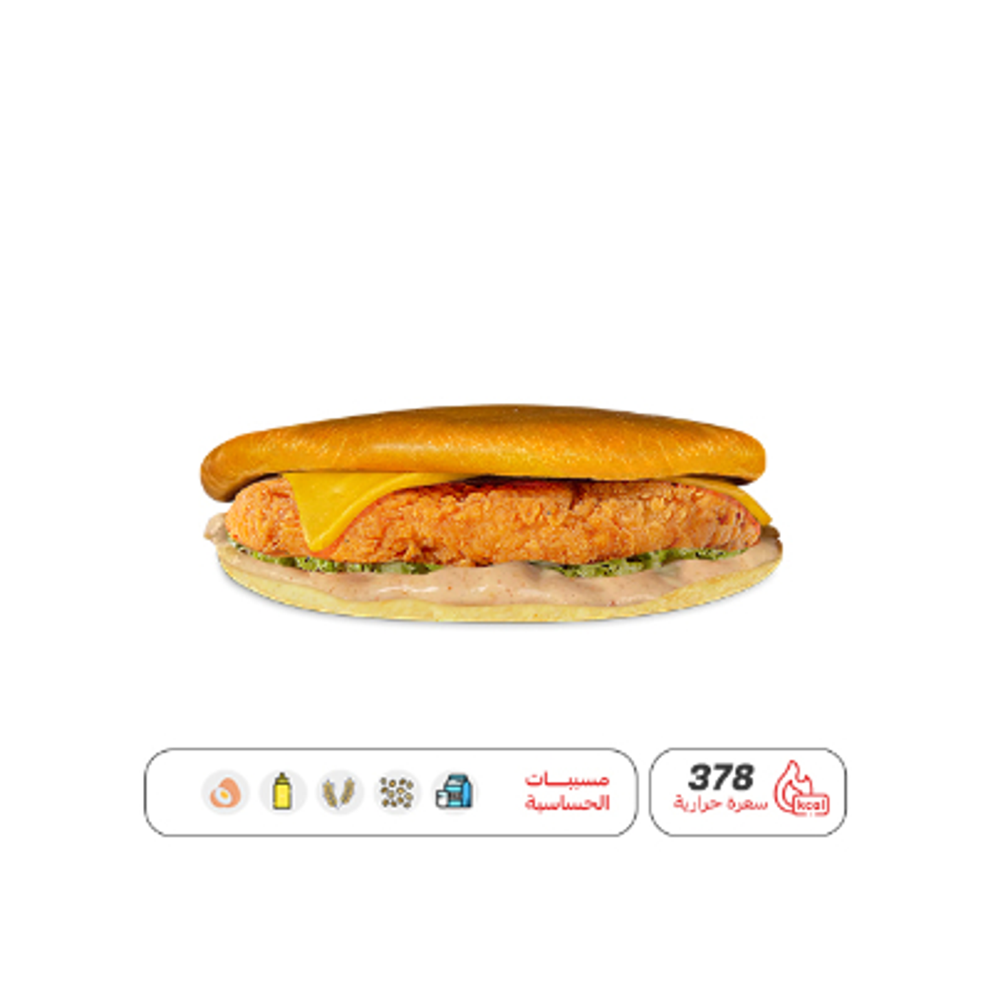 Flat Chicken Burger
