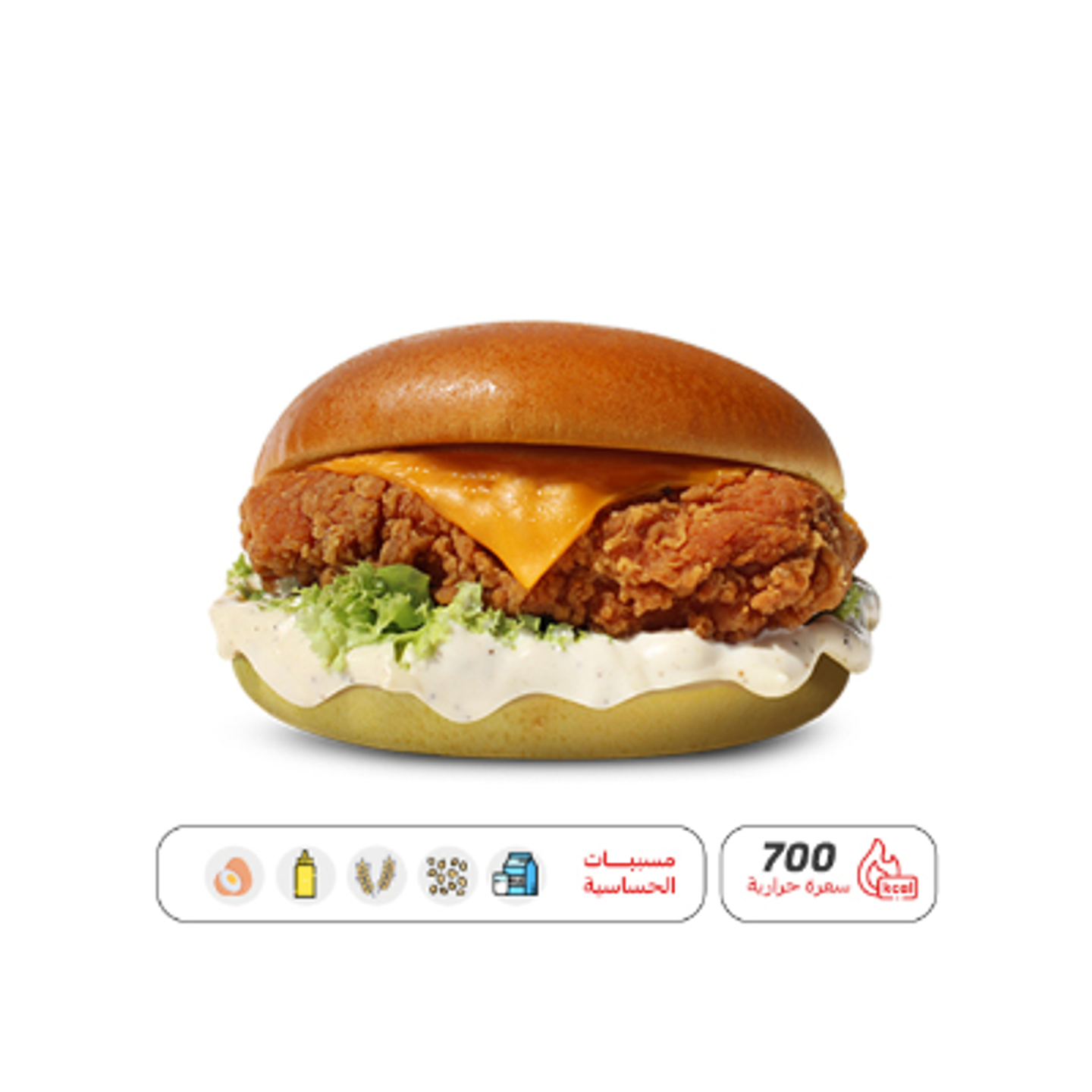 Classic Chicken Reg