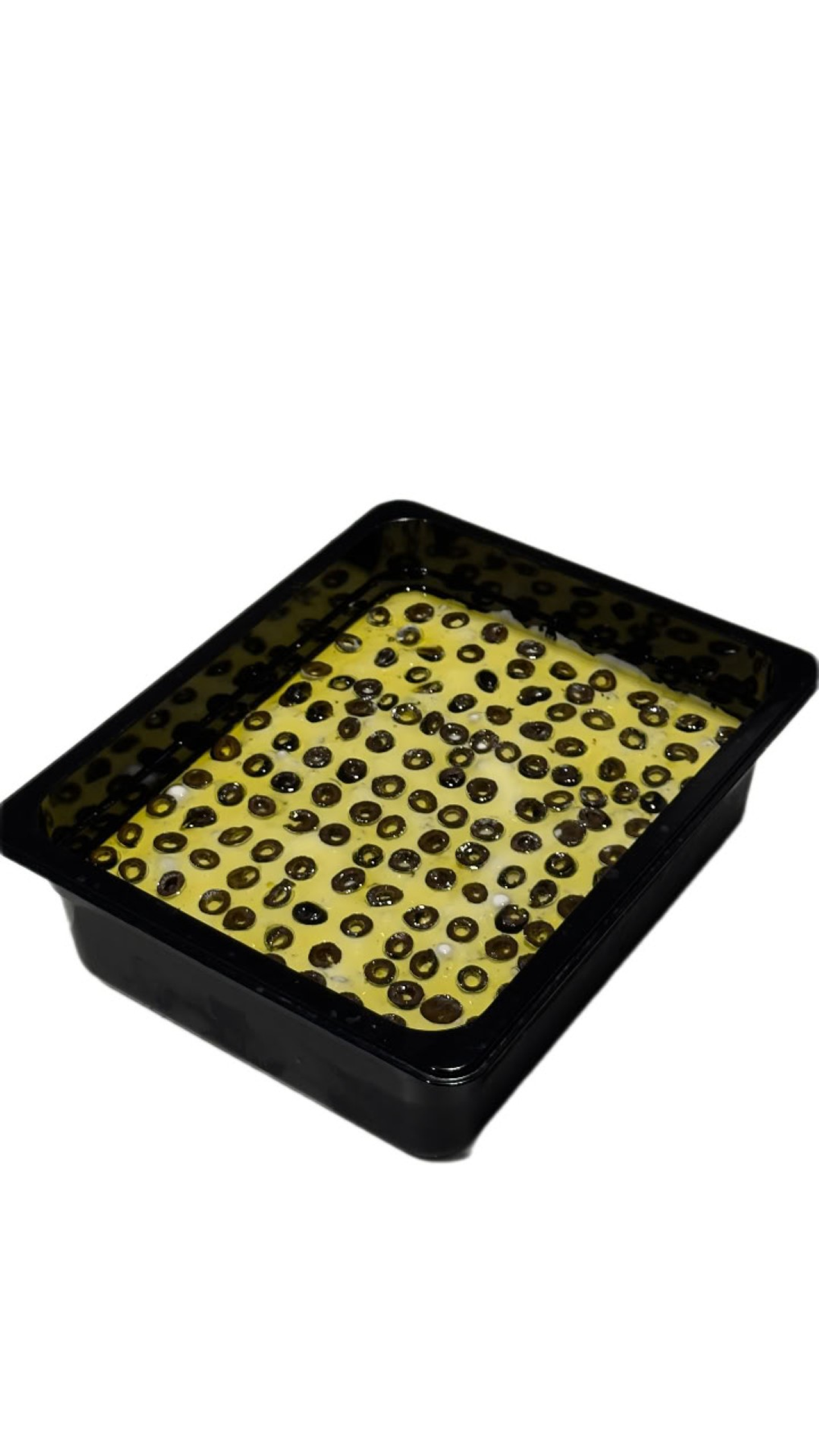 لبنة بالزيتون