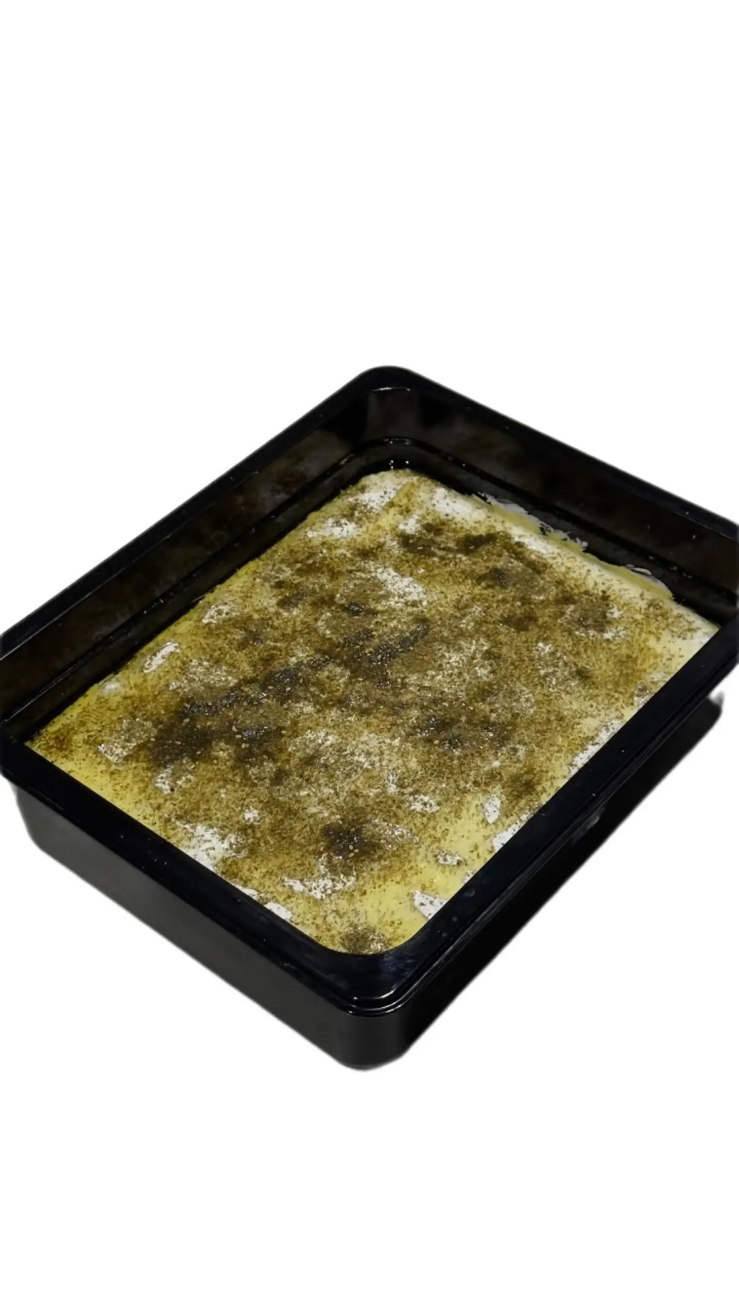 لبنة بالزعتر