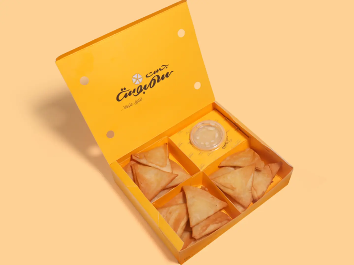 Samosa With White Cheese Filling