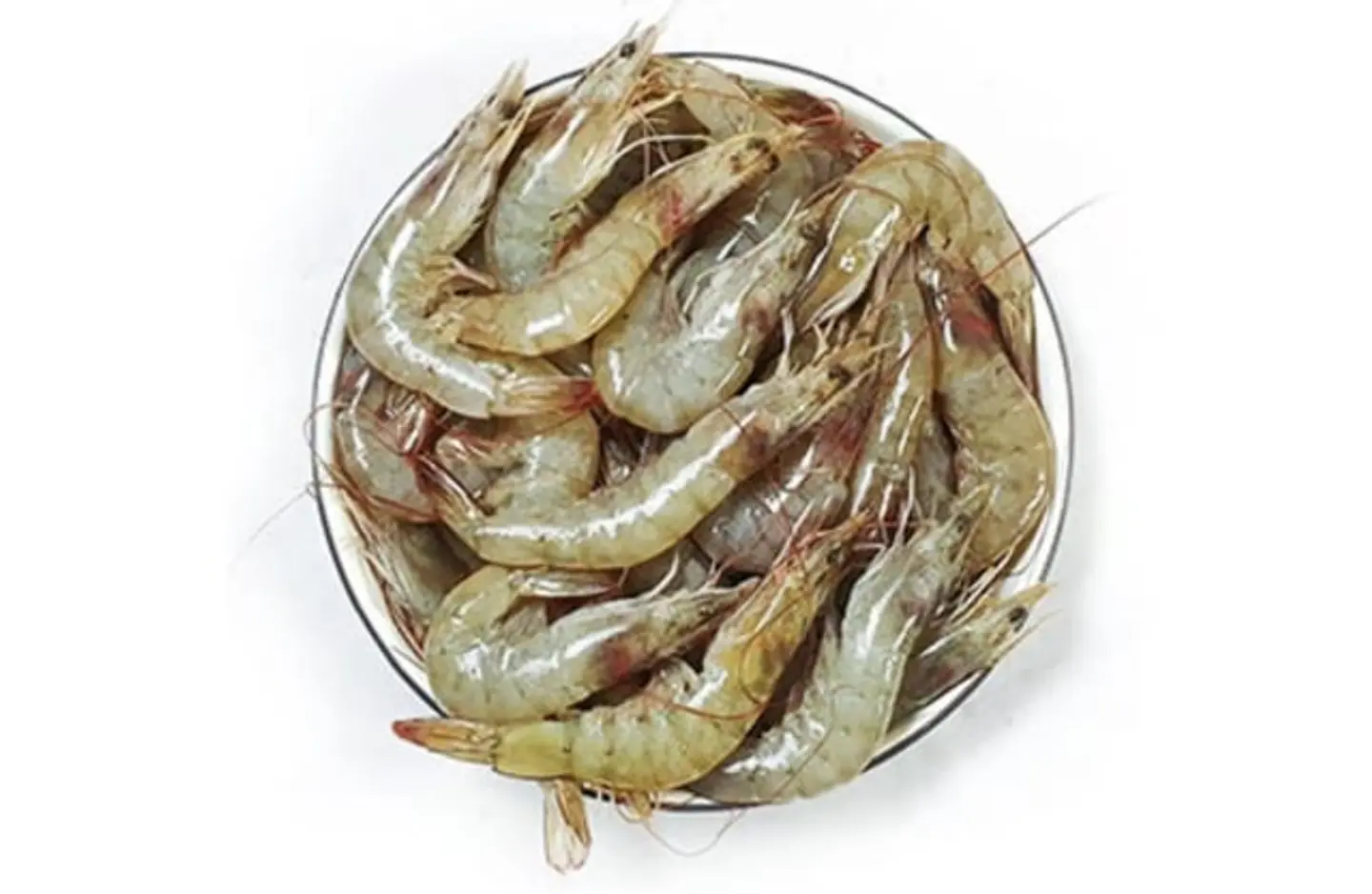 Small Shrimp 40 50