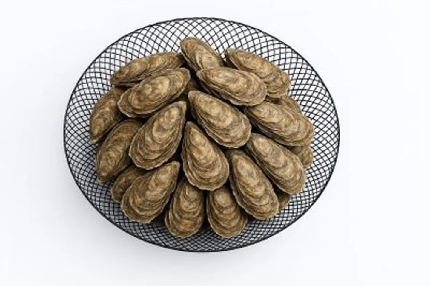 محار
