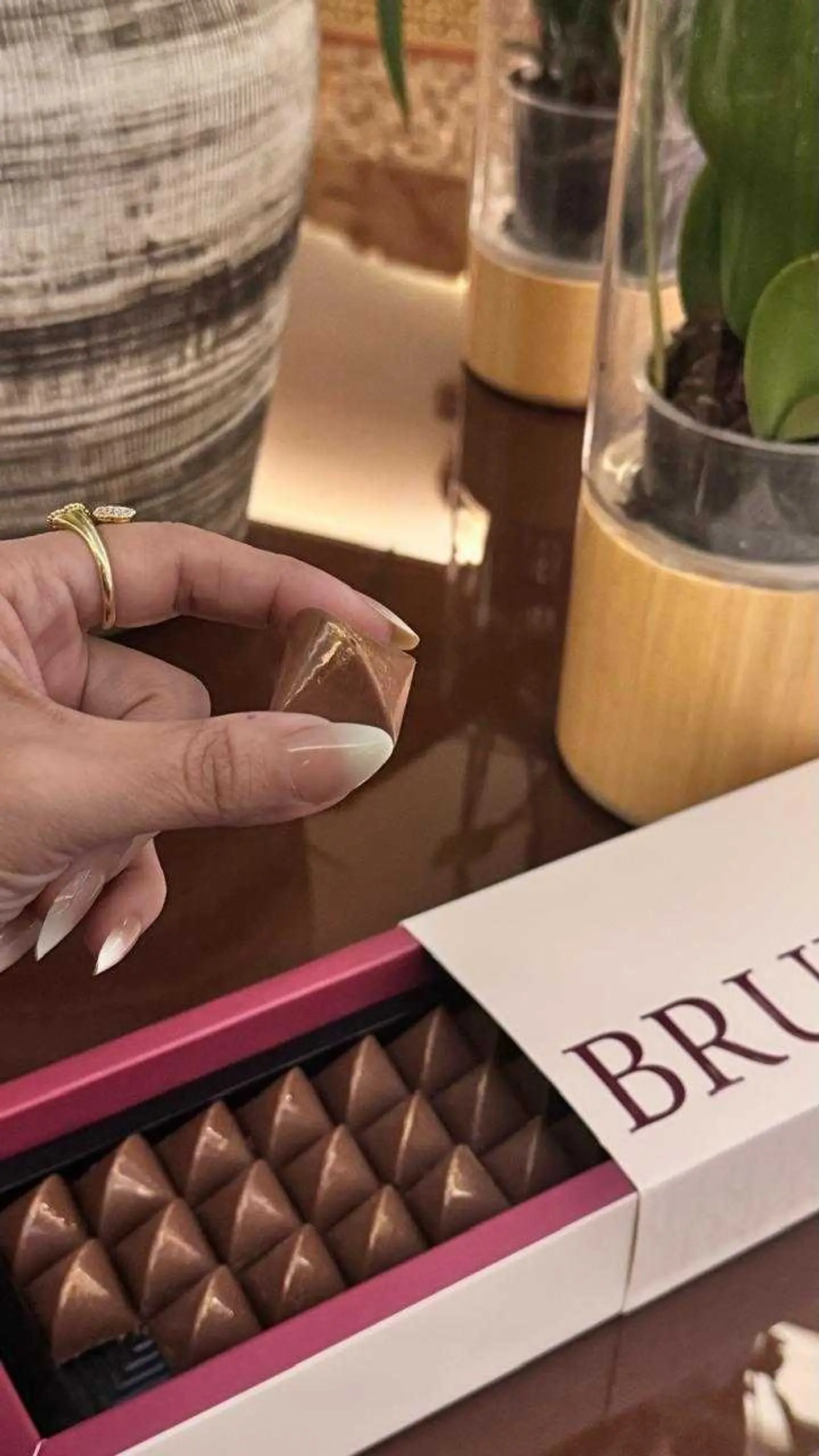 بروكسل قناش