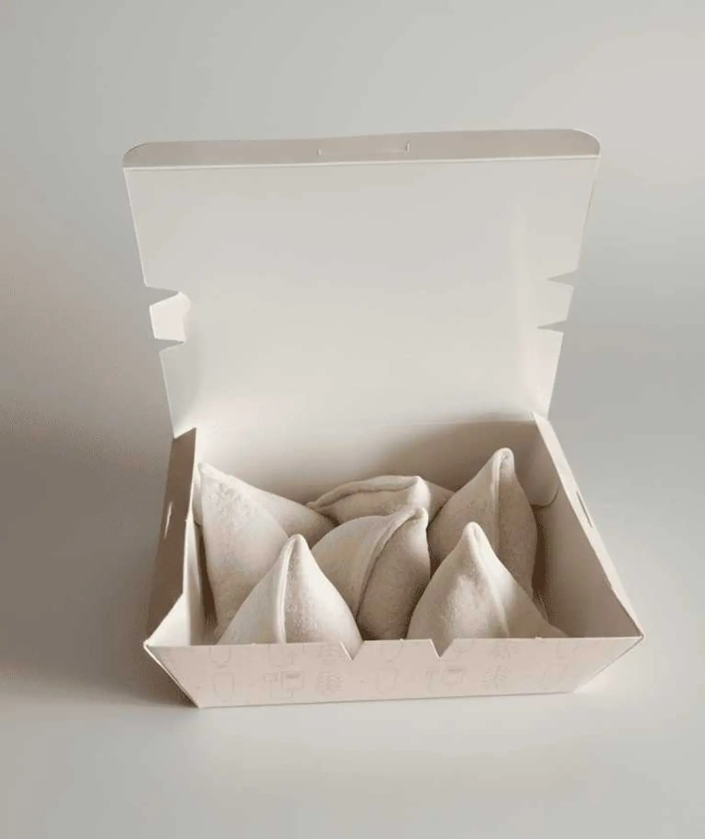 Mini Frozen Sambosa Box – 5 Pieces