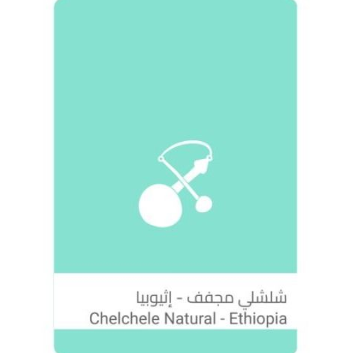 سلالات - شلشلي اثيوبي مجفف - 250ج