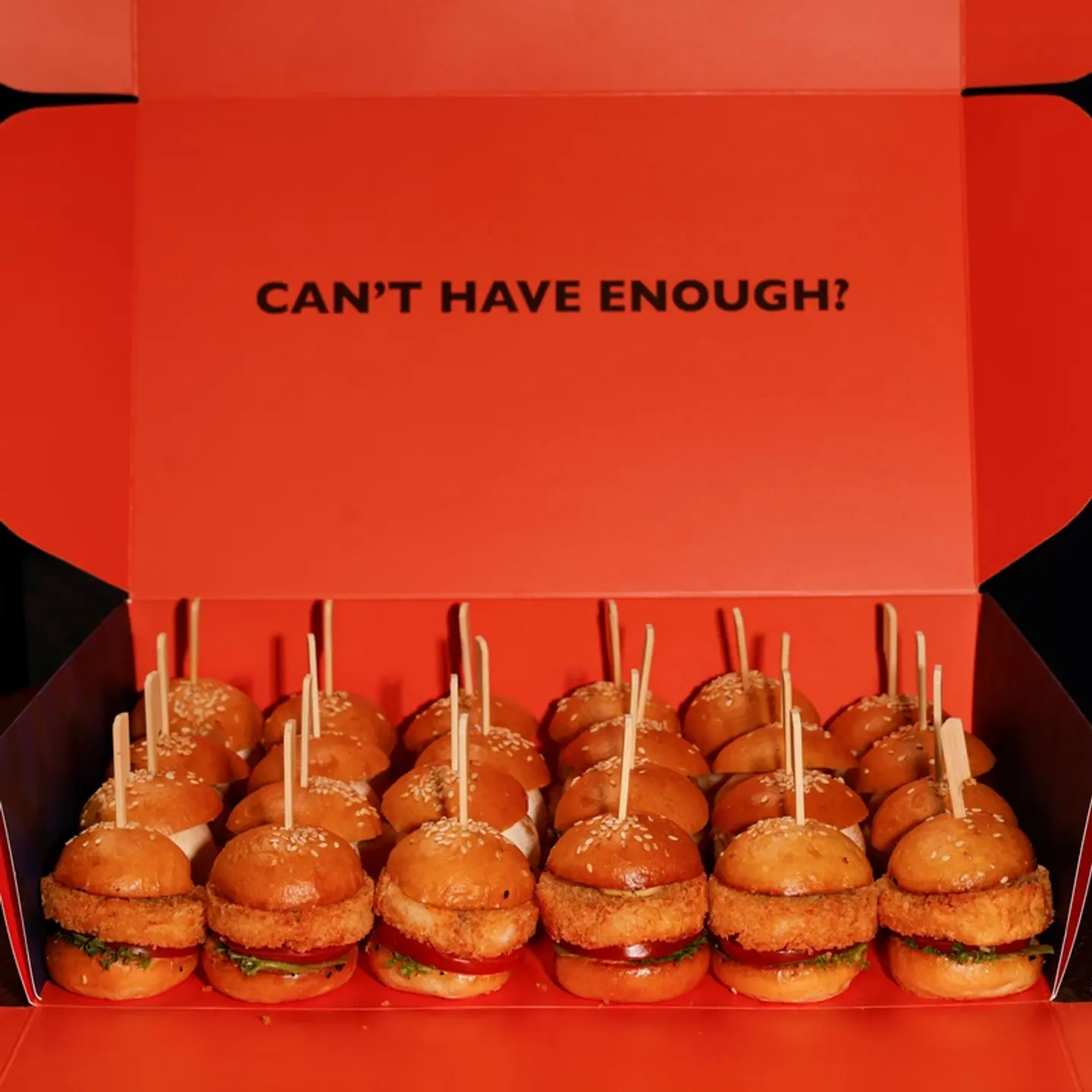 Najel Slider Box 24 Pcs