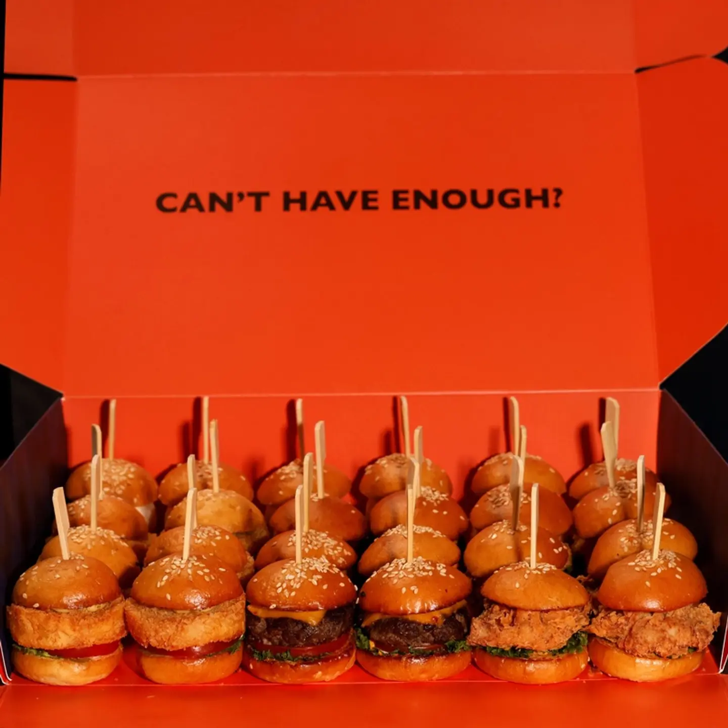 طبق سلايدر ٢٤ قطعة