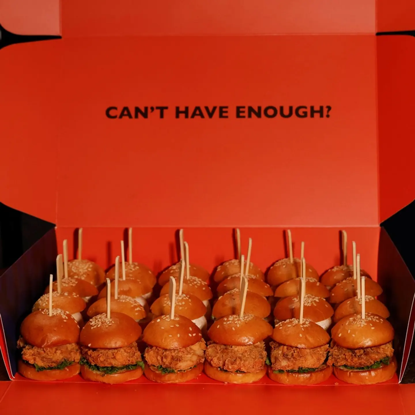 Chicken Slider Box 24 Pcs