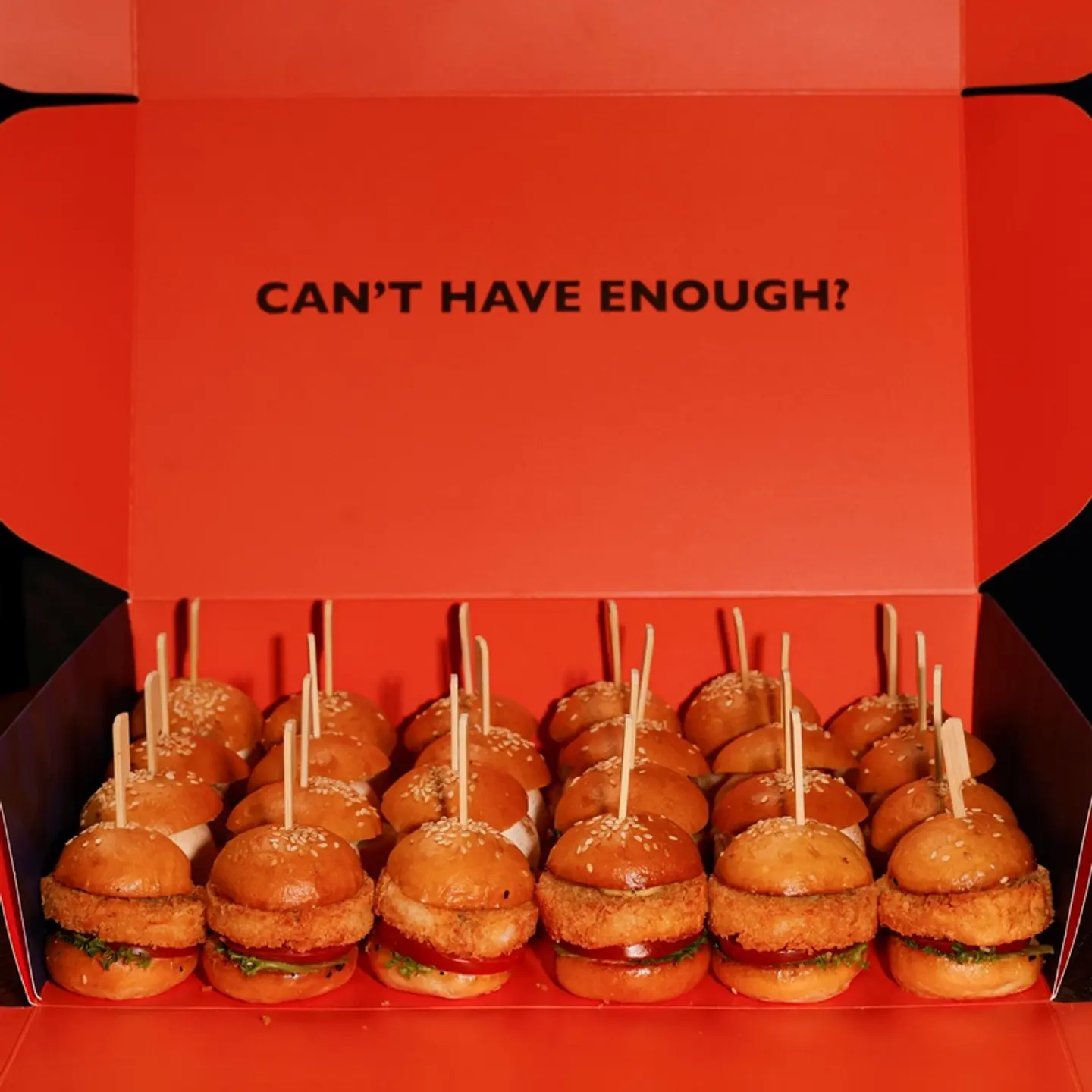 Najel Slider Box 24 Pcs