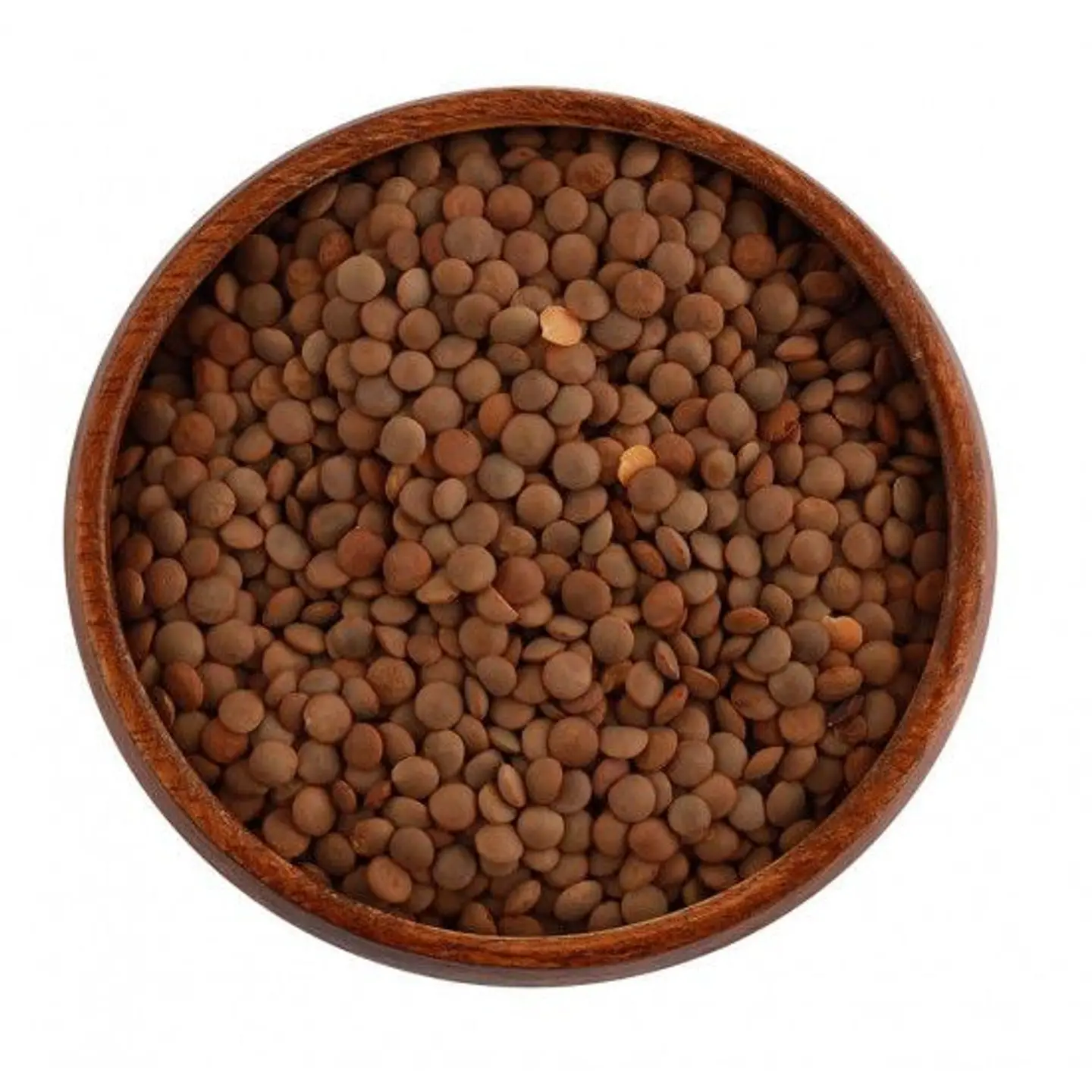Brown Lentils