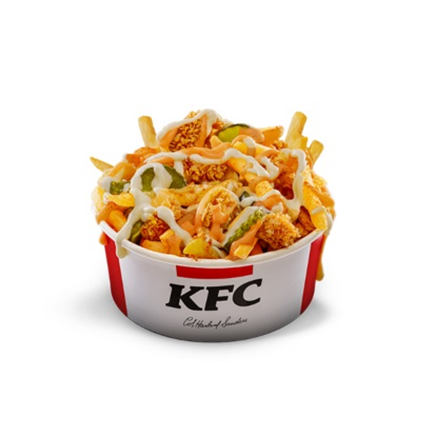 Thoum Taaky Loaded Fries