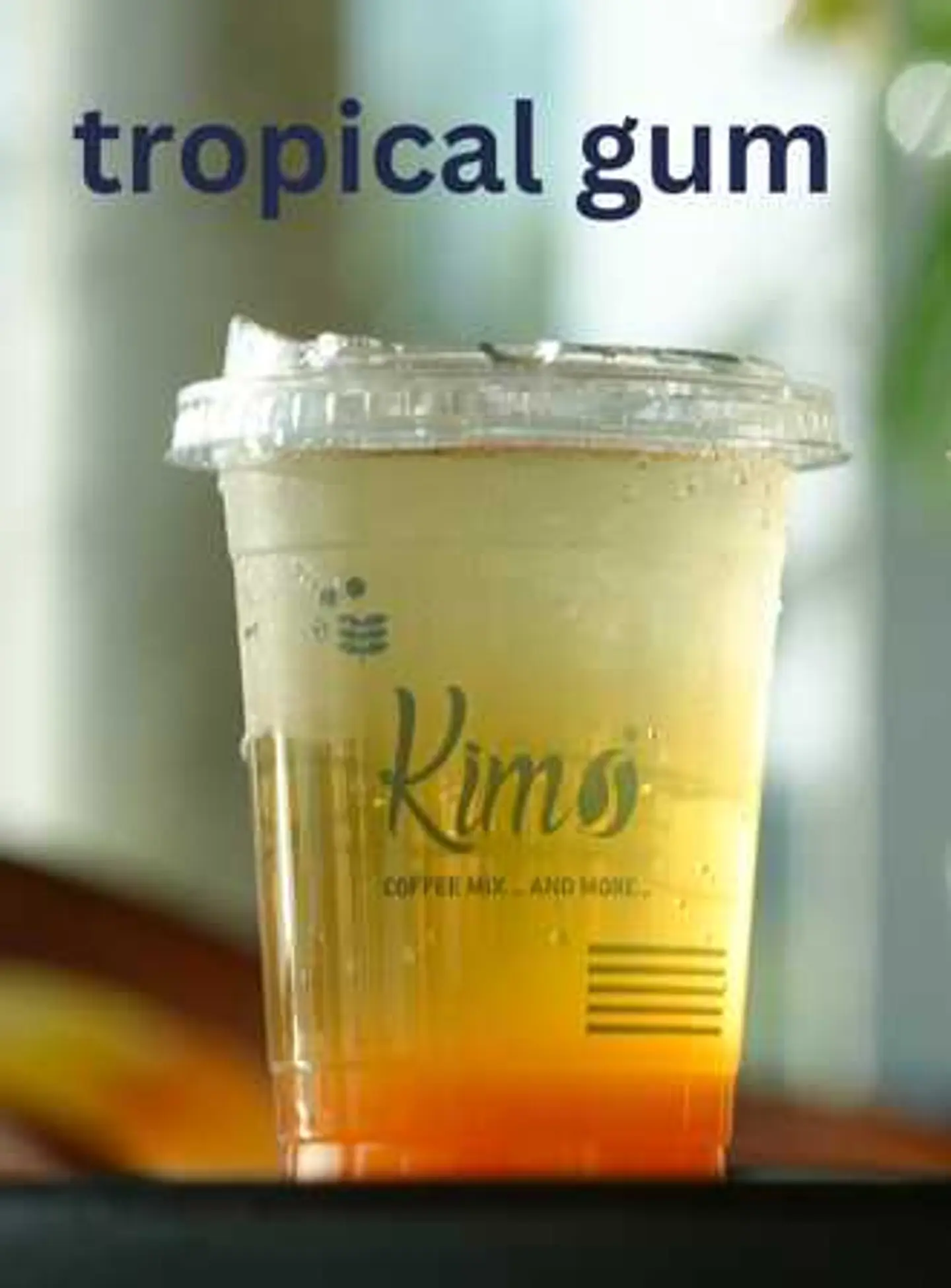 Tropical Gum