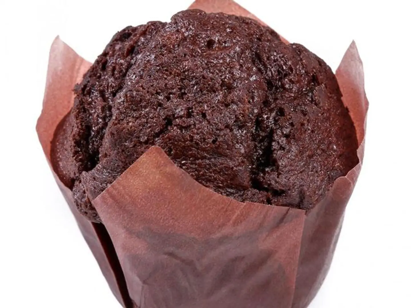 Chocolate Cup Cake