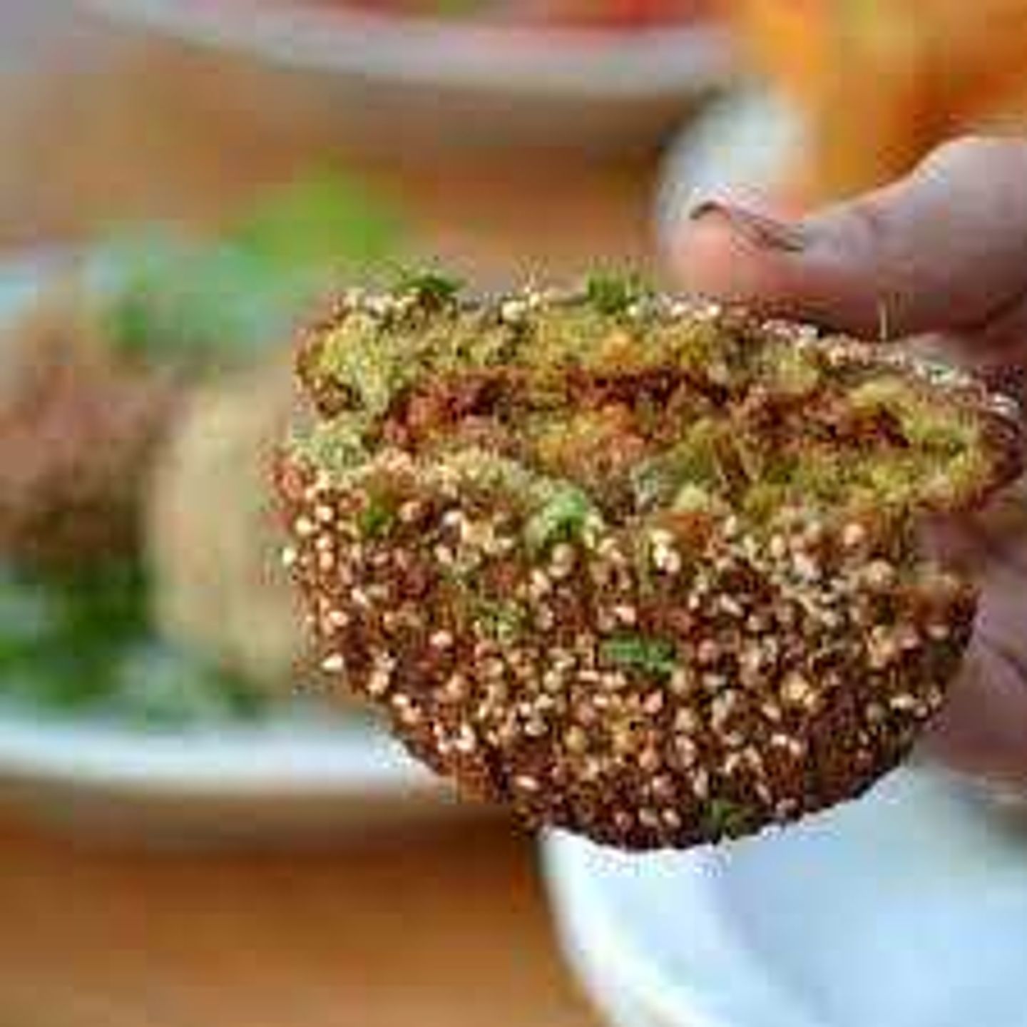 Plate Of 2 Stuffed Falafel