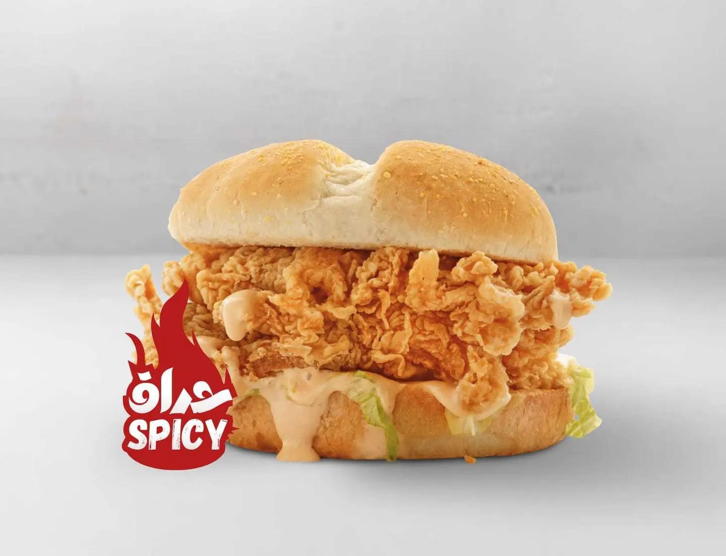 Zinger Burger Sandwich Sp