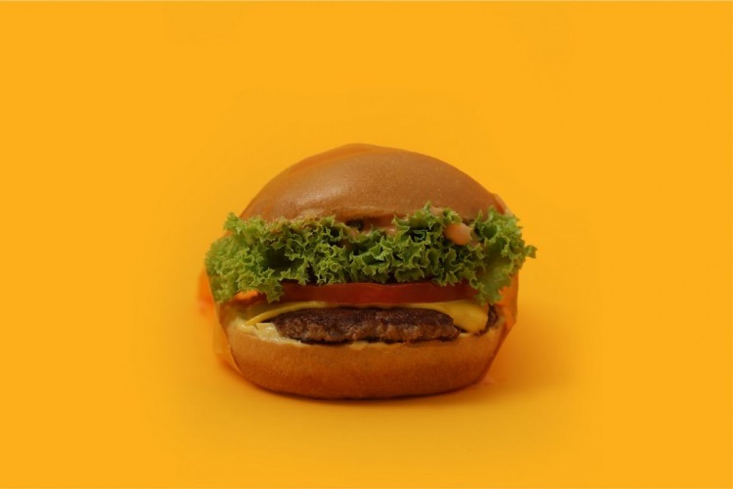 Angus Burger Single