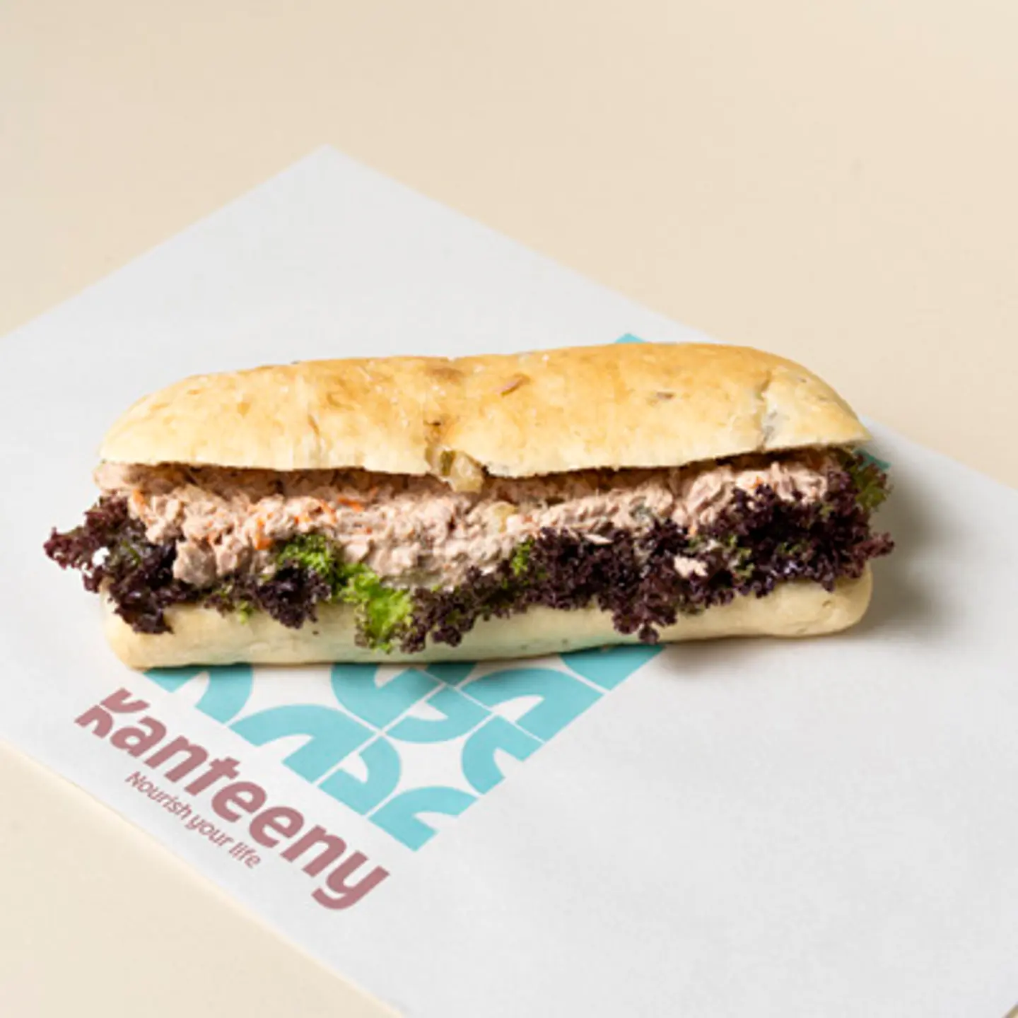 ساندويش التونة الخيالي