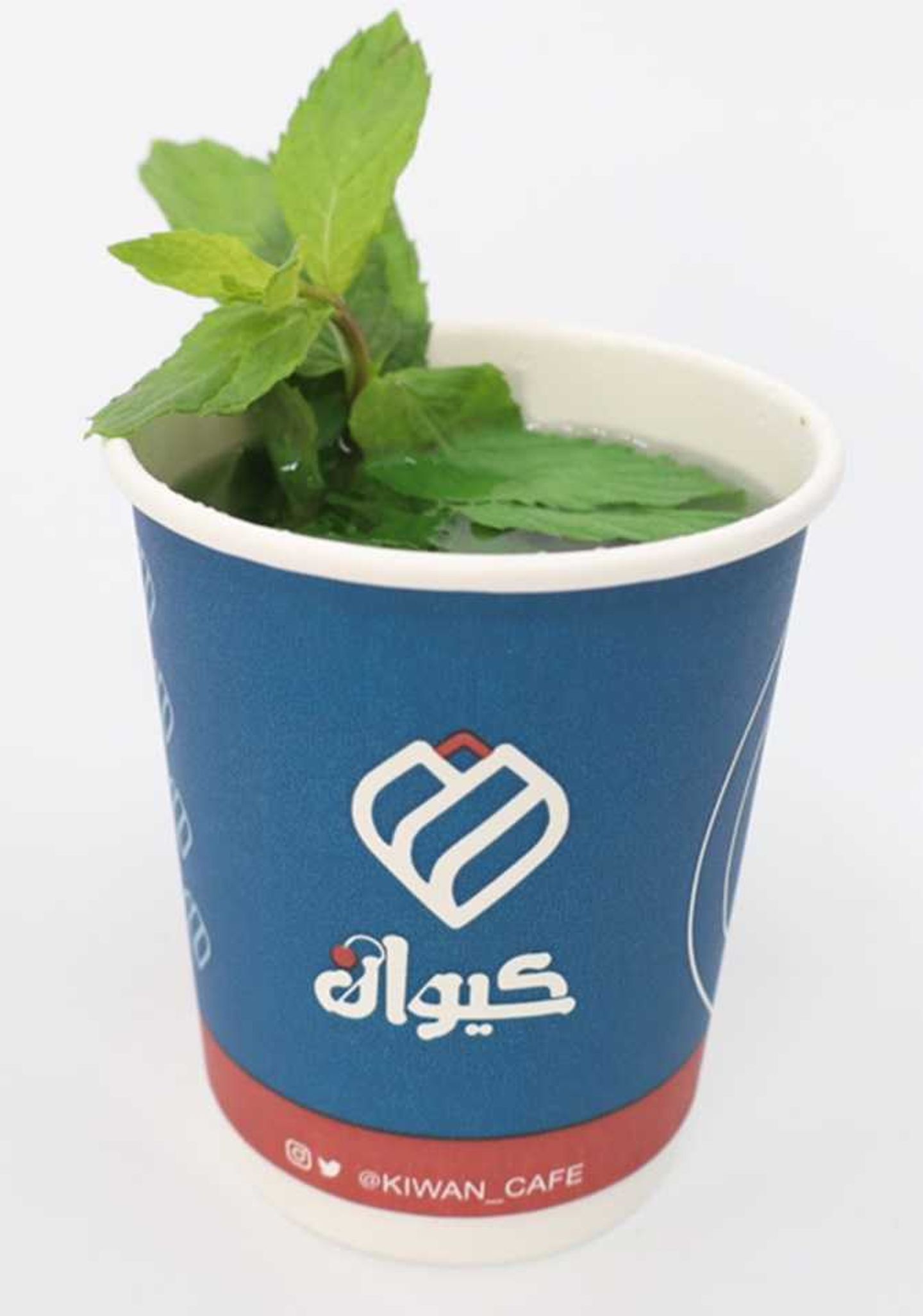 نعناع سادة