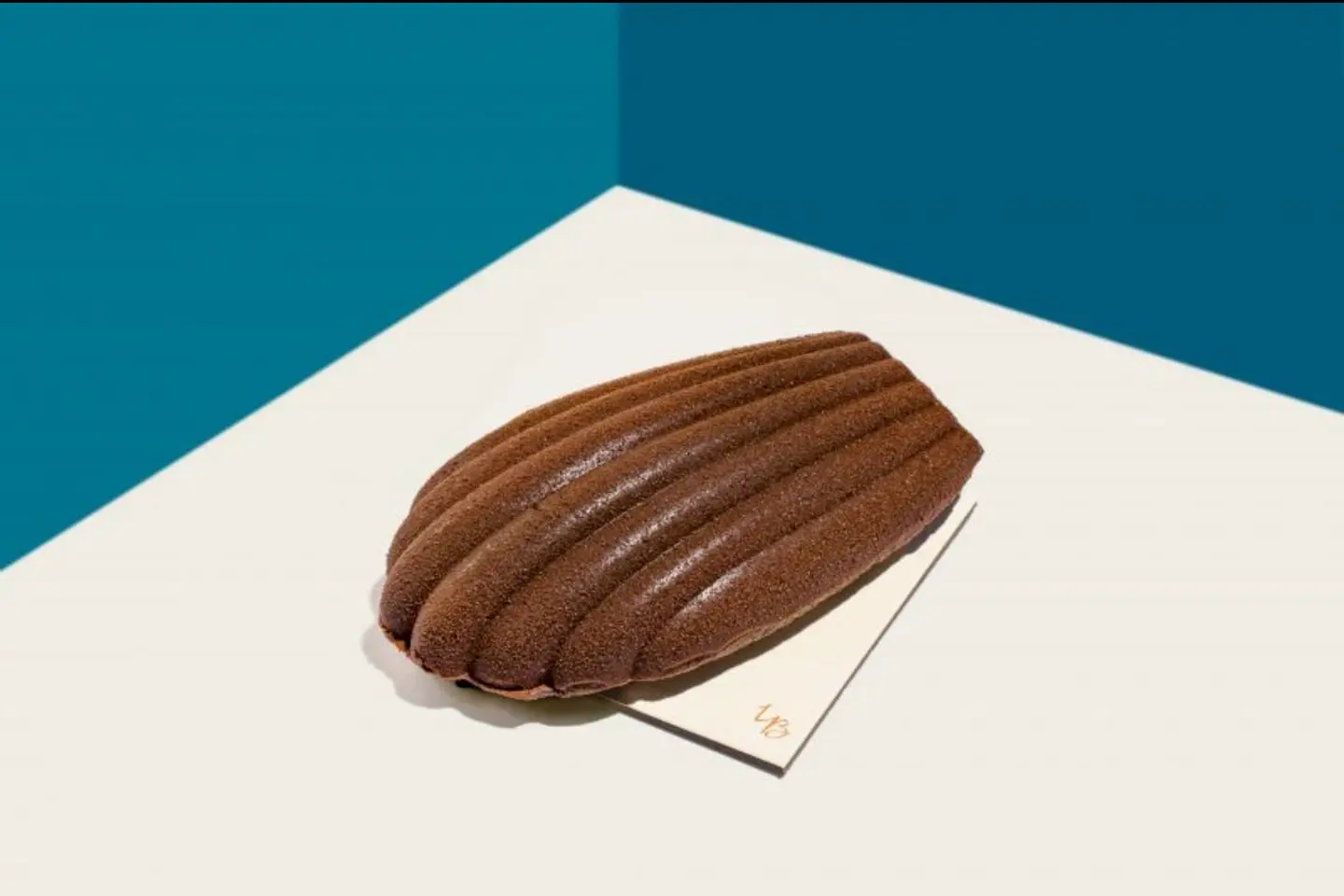 Madeleine Praline Mini