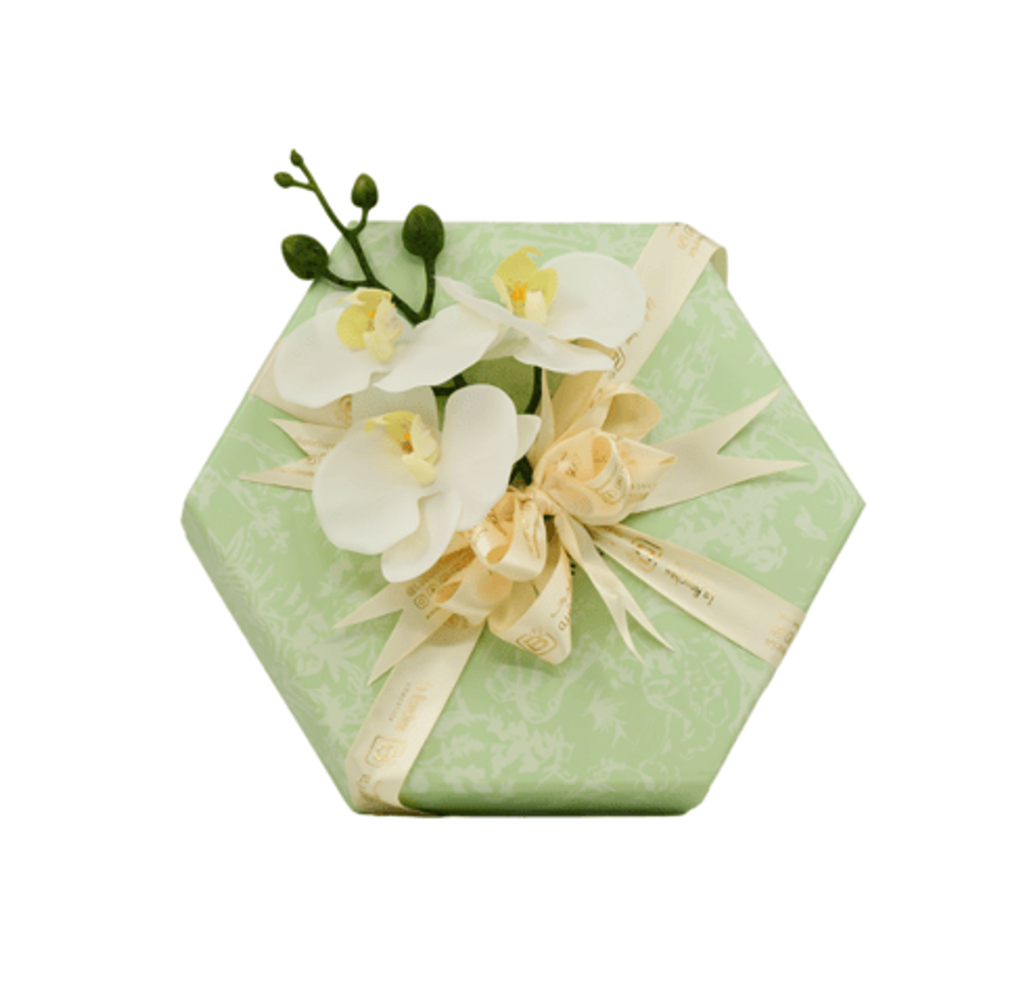 Tasty Cube Gift03003400