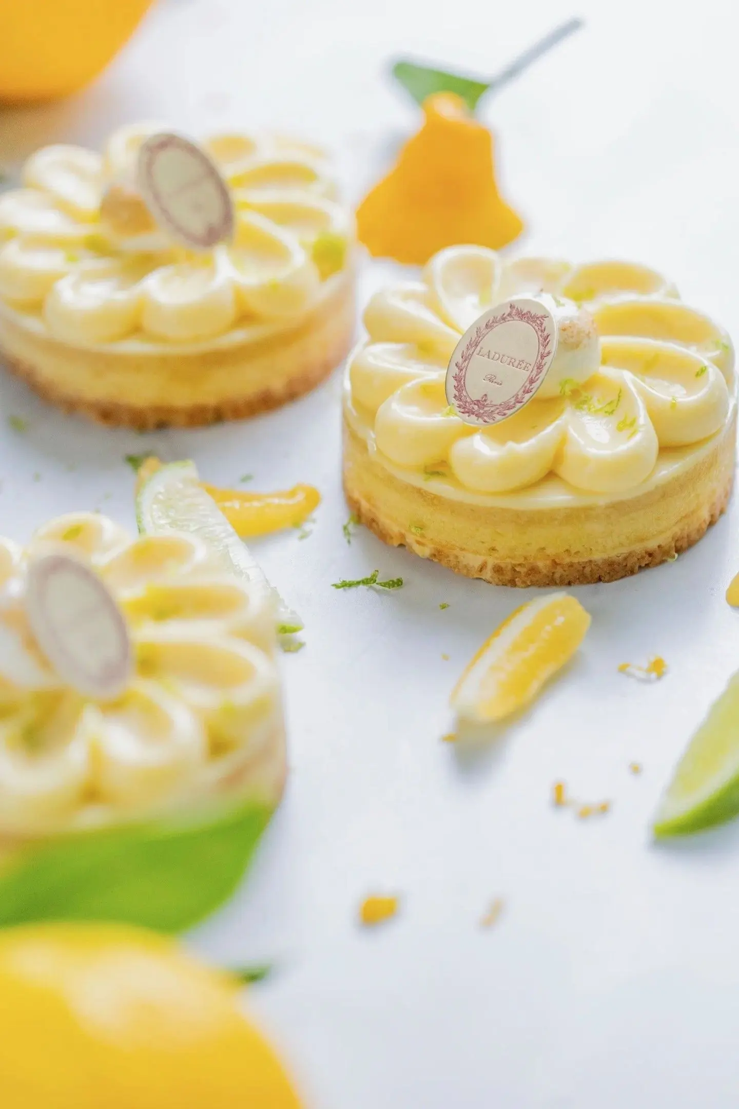 تارت الفراولة والماسكربوني