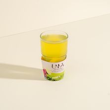 زنجبيل زجاج