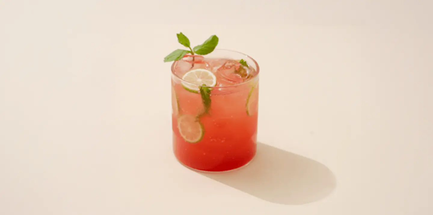 Iced Watermelon Mojito