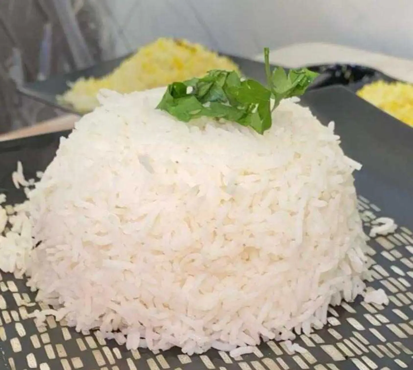 رز ابيض