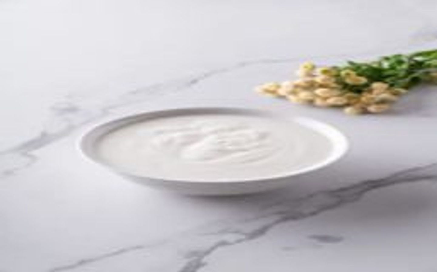 Yogurt Cup