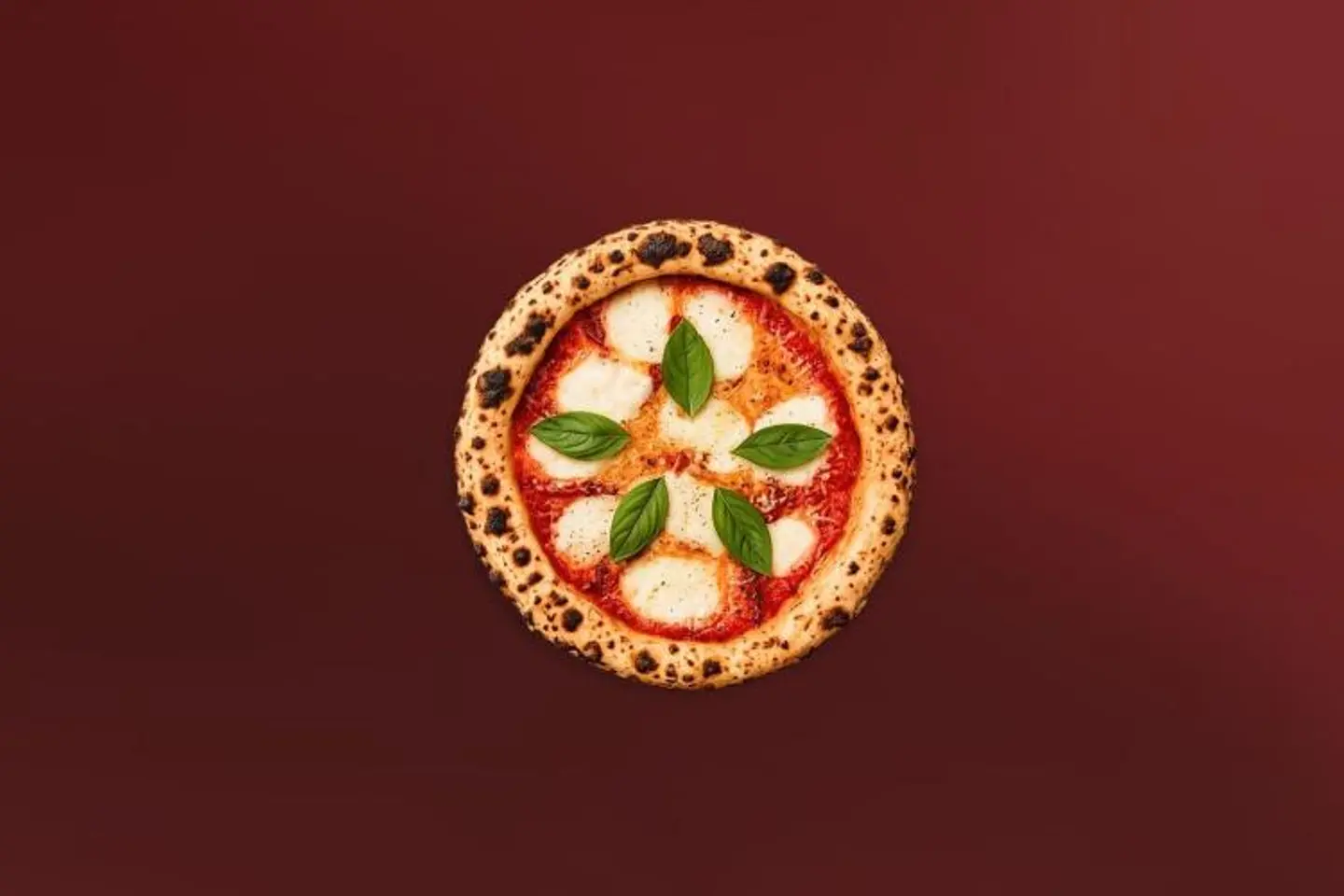 Fresh Mozzarella Pizza