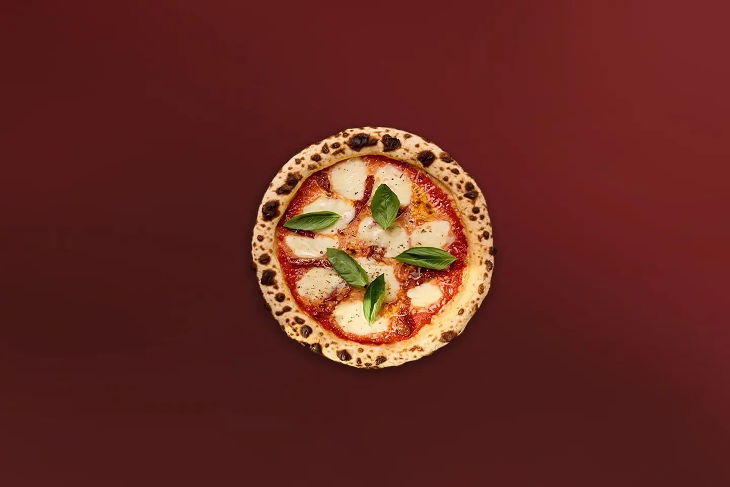 Fresh Mozzarella Pizza