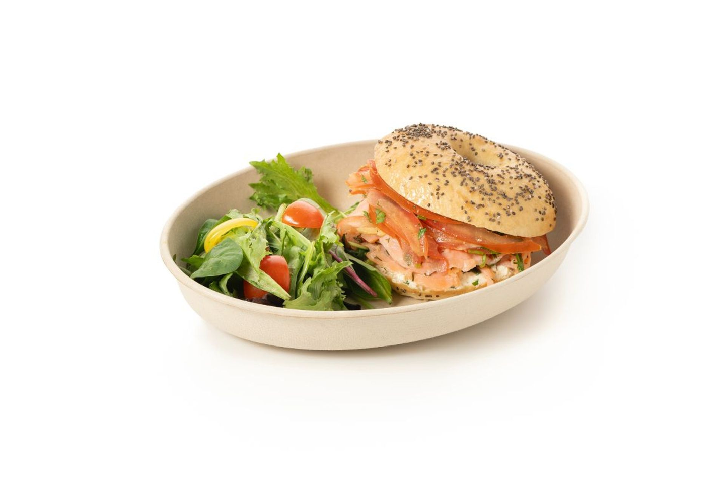Salmon Bagel