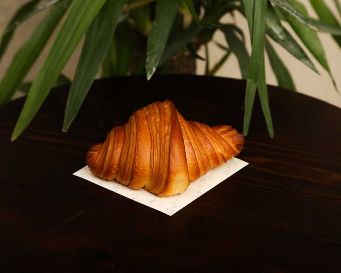 Plain Croissant