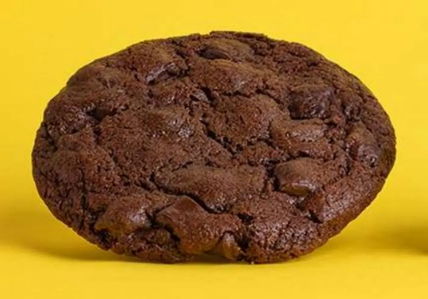 Double Chocolate Cookies