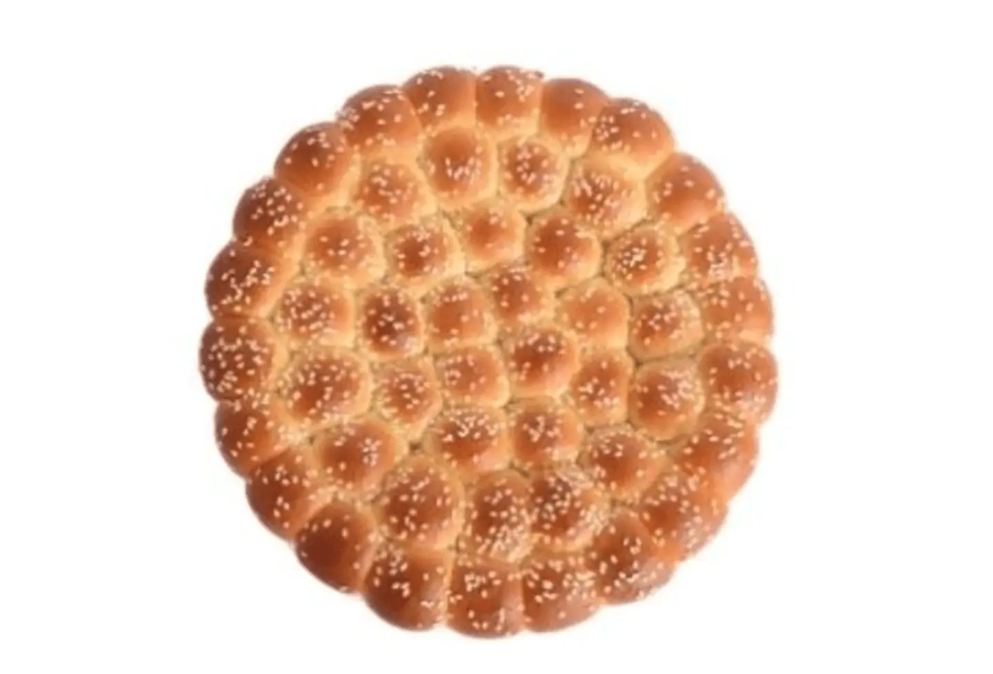 خلية هشة - حجم كبير