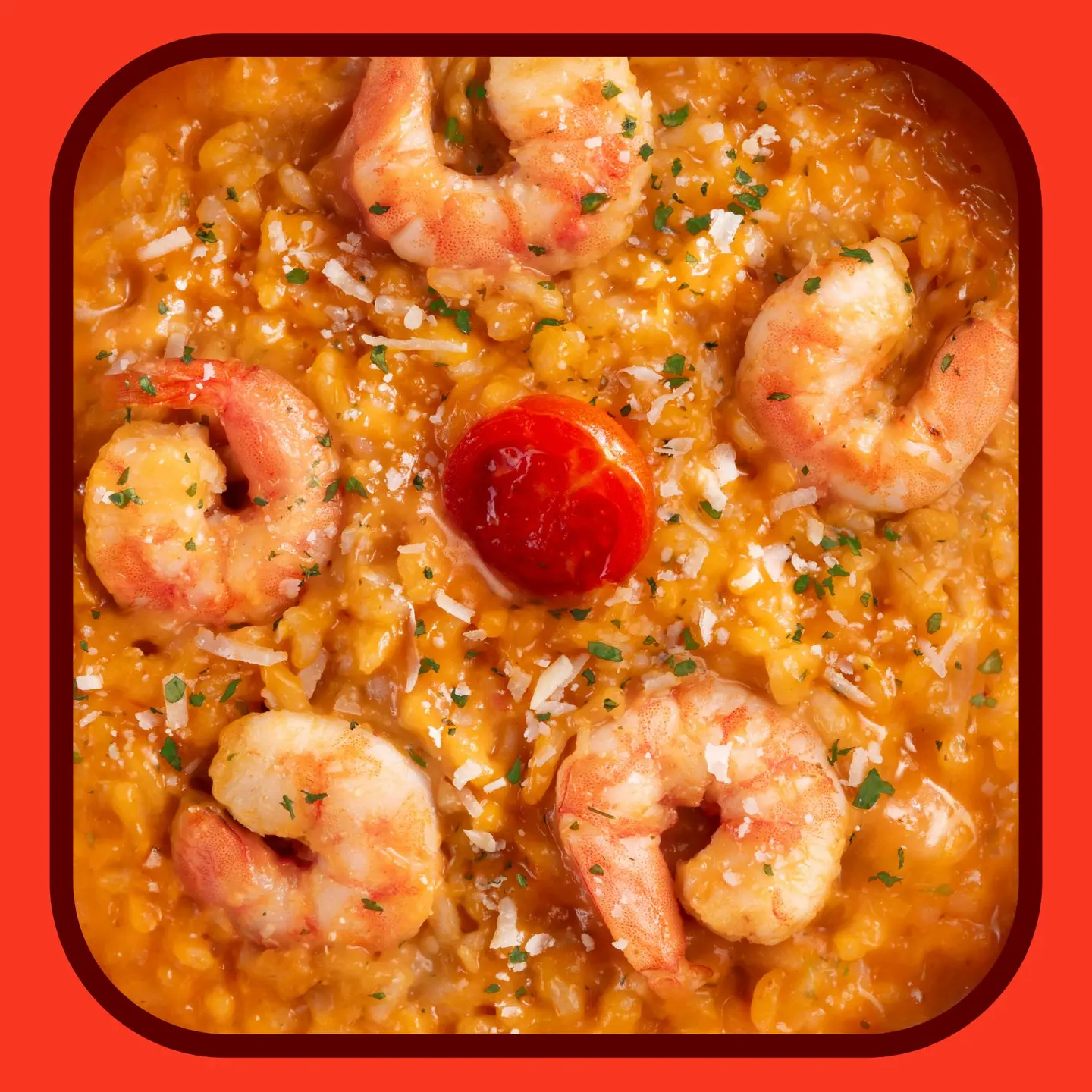 Creamy Tomato Risotto Shrimp