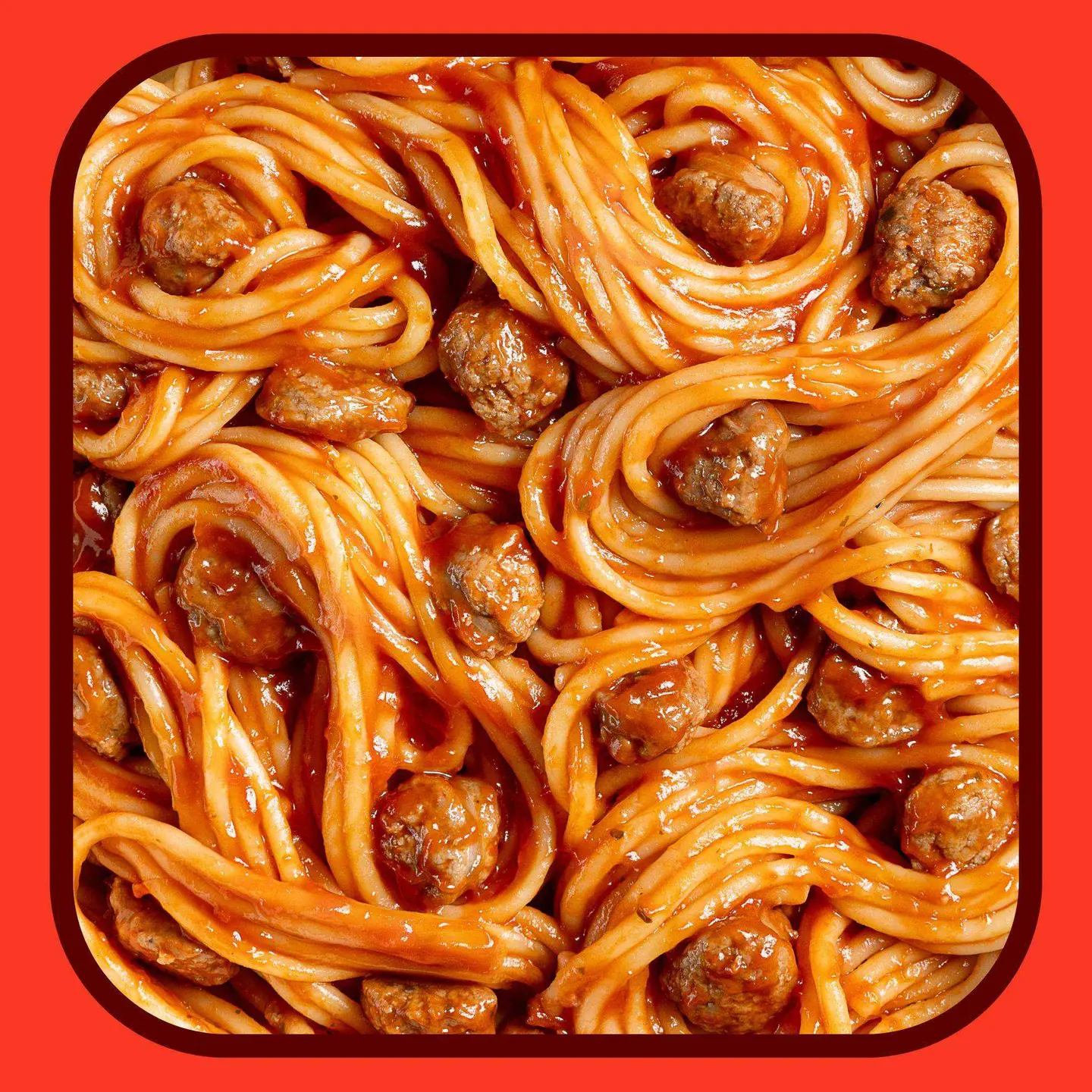 Spaghetti Pasta Bolognese