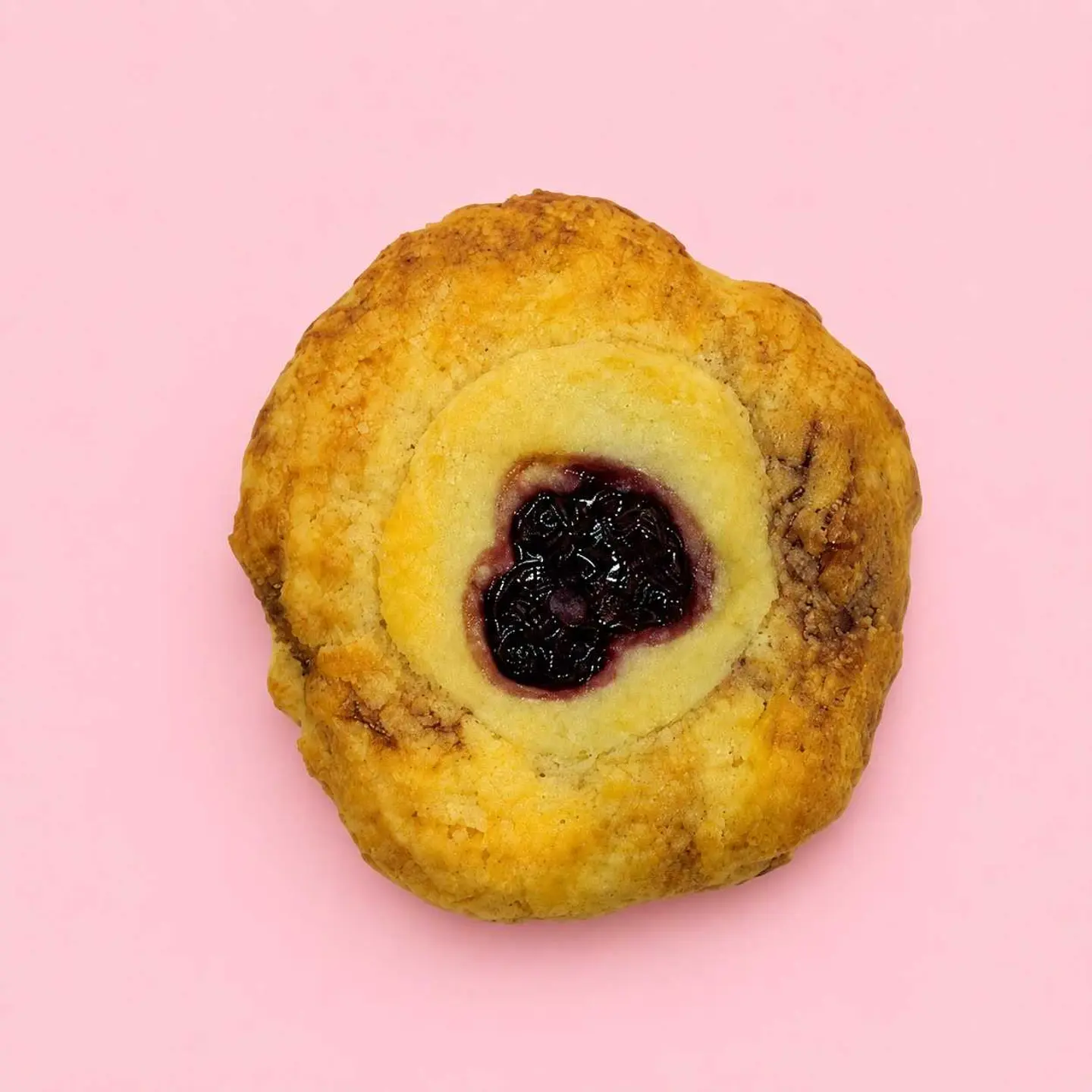 Blueberry Cookies